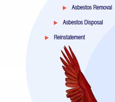 Phoenix Asbestos Recovery, your local asbestos recovery specialists. Asbestos, Asbestos Removal, Asbestos Contractors, Asbestos Services, Asbestos Waste, Waste Removal, Licenced Asbestos Contractors, Hazardous Waste Removals, Asbestos Roof, Asbestos Surveys 